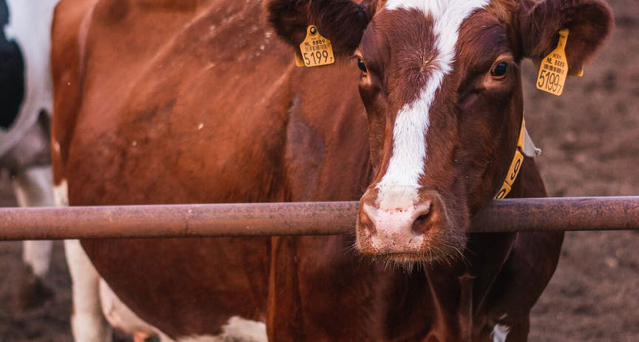 banner-farm-services banner-farm-services